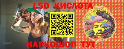 дмт Новокубанск