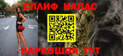 дмт Новозыбков